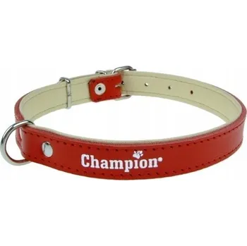 Obojek pro psa Kožený obojek pro psa Champion vel. M