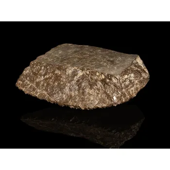 Sběratelství Meteorit | Ureilit | NWA 14057 | 1400 g