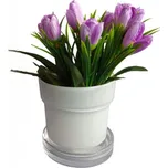 Obal skleněný bílý 12 cm 20604