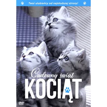DVD film DVD Cudowny świat kociąt