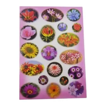 samolepka Samolepky KVĚTINY (nový produkt)