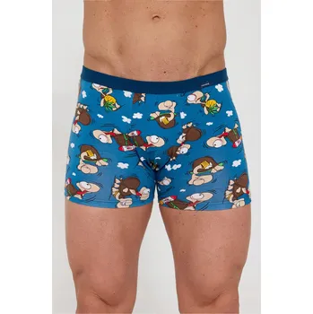 Pánské spodní prádlo Pánské boxerky Cornette Tattoo 280/258 Chillout 2 vel. L (48) želvy / bylinkový vzor