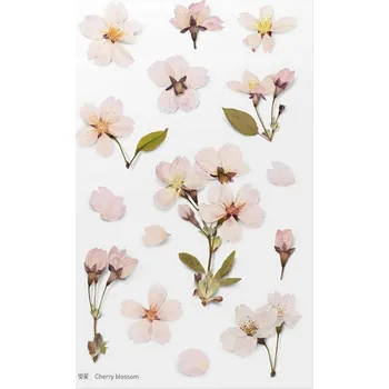 samolepka Ozdobné Samolepky Květiny Třešně - Rodinné Umění