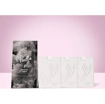 Osvěžovač vzduchu Puella vonná karta Frayo – trojbalení 54 g | PUELLA