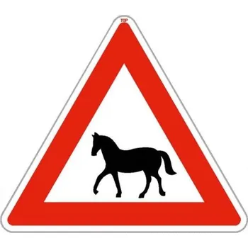Dopravní značení Dopravní značka A13 - Koně