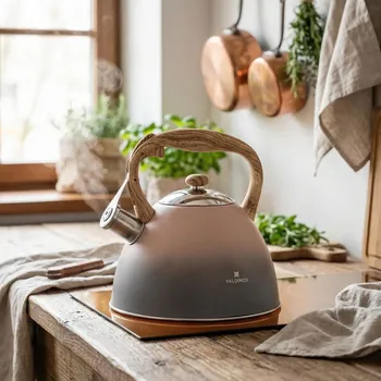 Konvice na čaj Nerezová konvice na indukci VALDINOX MORGAN 2,5 l