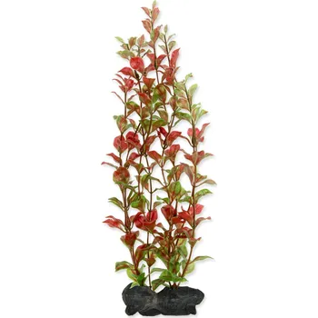 Dekorace Tetra Rostlina Red Ludwigia L 30cm-KARTON