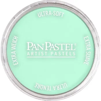 PanPastel Artists’ Suchý pastel 956.5 Pearlescent Green 1 ks