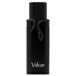 French Avenue Vulcan Black Friday…