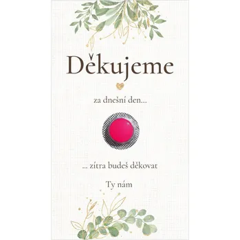 Krabička na výslužku Kartička na ibalgin 363