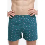 Gina pánské bavlněné trenýrky se vzorem - GINDZMDFR/Petrolejová / L/XL GIN6D028-DZMDFR