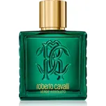 Roberto Cavalli Uomo Verde Assoluto parfémovaná voda pro muže 100 ml