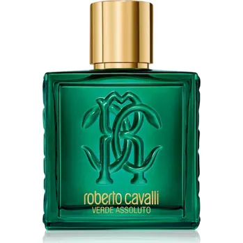 Pánský parfém Roberto Cavalli Uomo Verde Assoluto parfémovaná voda pro muže 100 ml