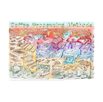 Příslušenství pro přípravu kávy Ryan Brown - Coffee Processing Methods - plakát