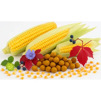 Boilies Boilies - MLÉČNÁ KUKUŘICE - Ø 16 mm 5 kg