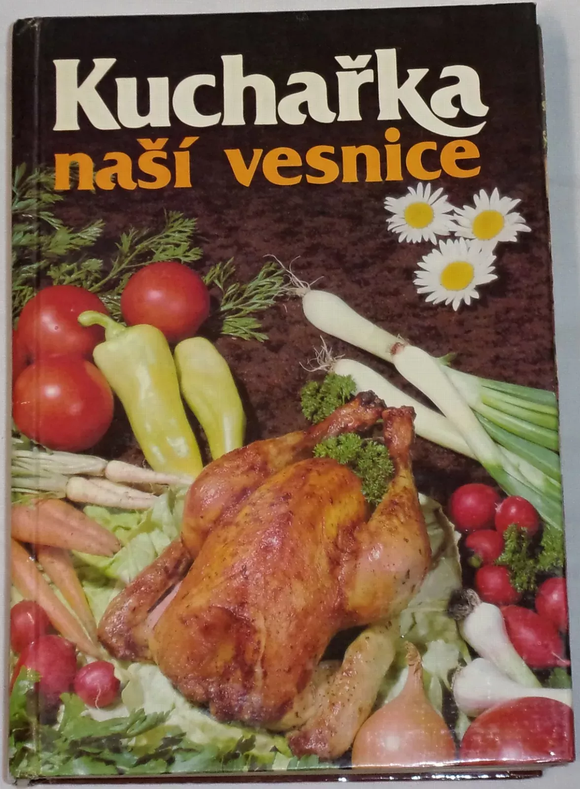 Hrubá Marie, Raboch František - Kuchařka naší vesnice