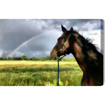 Obraz Obraz Na Plátně Kůň na louce 90x60
