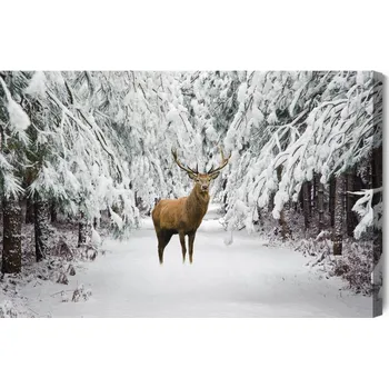 Obraz Obraz Na Plátně Jelen v zimním lese 90x60
