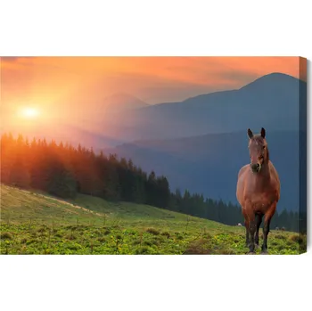 Obraz Obraz Na Plátně Kůň na pozadí západu slunce 90x60