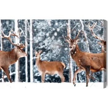 Obraz Obraz Na Plátně Stádo jelenů v zimním lese 90x60