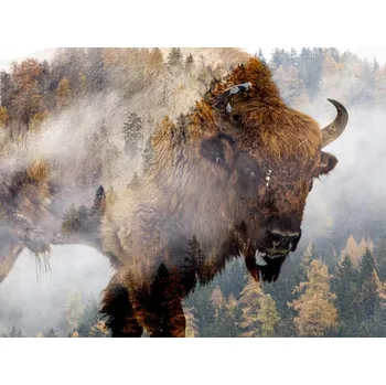 Obraz Vícedílný obraz Zubr v mlžném lese 200x150 cm