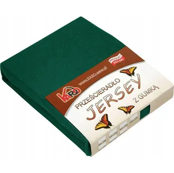 Prostěradlo Prostěradlo jersey s gumou 200x220 zelené KARO