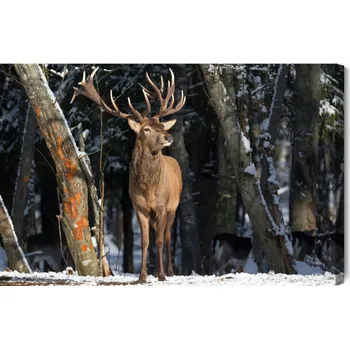 Obraz Obraz Na Plátně Jelen Mezi Stromy 90x60