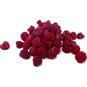 Sušená potravina Lyofilizované maliny 15g