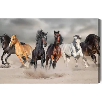 Obraz Obraz Na Plátně Koně cválající u moře, obraz 90x60 cm
