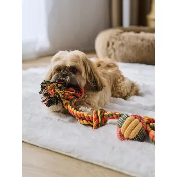 Hračka pro psa Sinsay - Sada pro psy přetahovadlo a míček 2 pack - vícebarevná - 118BV-MC1 - 118BV-MC1-ONE