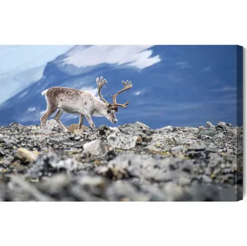 Obraz Sob Obraz Na Plátně 90x60