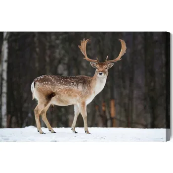 Obraz Obraz Na Plátně Jelen Na Pozadí Stromů 90x60