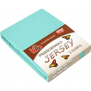 Prostěradlo Prostěradlo jersey s gumou 200x200 mátové 054 silné 150g/m2 KARO