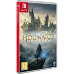 NS - Hogwarts Legacy