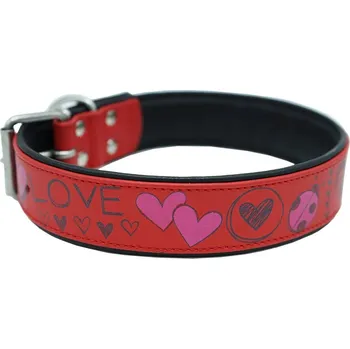 Obojek pro psa Anadi Kožený obojek s nerezovým kováním, 2, 5 cm × 32 - 39, 5 cm, červený