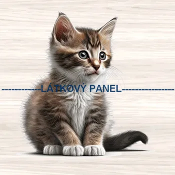 Látkový panel - Kočka - KČ-279 Velikost: 35x35cm, Materiál: Mikroplyš