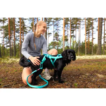 Postroj pro psa Non-stop Dogwear Postroj Free Motion 5.0 tyrkysový Velikost: 10