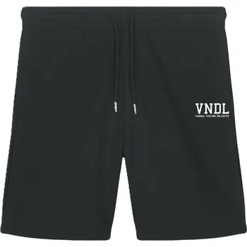 Pánské kraťasy Kraťasy THE VANDAL VNDL College Shorts Black M