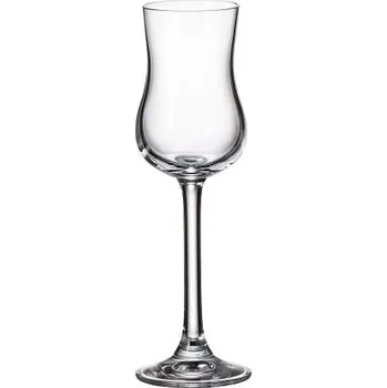 Sklenice VÝPRODEJ Crystal Bohemia Sklenice COLIBRI 85 ml