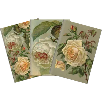 Sada tří notýsků Yellow roses