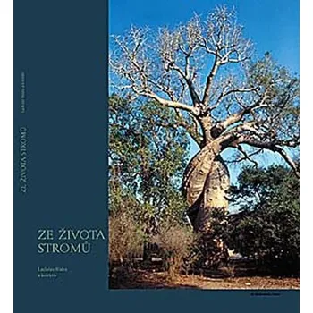 Přírodní věda Ze života stromů