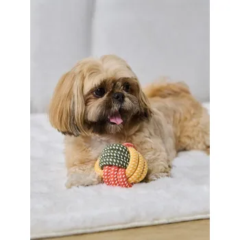 Hračka pro psa Sinsay - Sada pro psy přetahovadlo a míček 2 pack - vícebarevná - 118BV-MC1 - 118BV-MC1-ONE