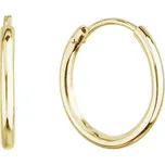 Pozlacené stříbrné náušnice kruhy 61001