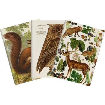 Sada tří notýsků Forest Animals