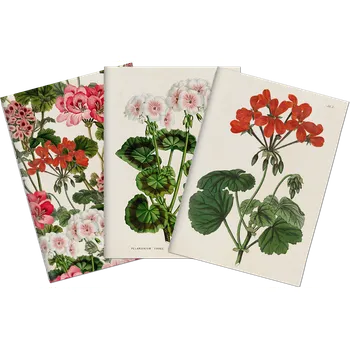 Sada tří notýsků Geranium
