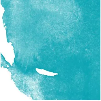 Výtvarná barva Barva na linoryt Fabric Block Printing Ink, Speedball