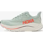 Hoka Clifton 10 EUR 48
