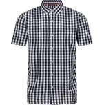 Pánská košile Regatta Denmoor Velikost: S / Barva: modrá/bíla