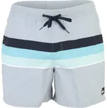 QUIKSILVER Plavecké šortky EVERYDAY VOLLEY světlemodrá / světle