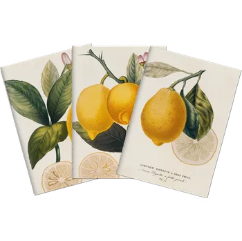 Sada tří notýsků - Lemons